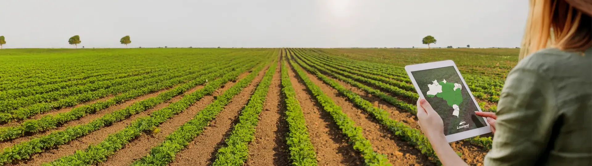Moça com um tablet nas mãos